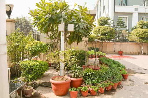 Asia Pacific Institute of Management New Delhi Campus Life photo 27